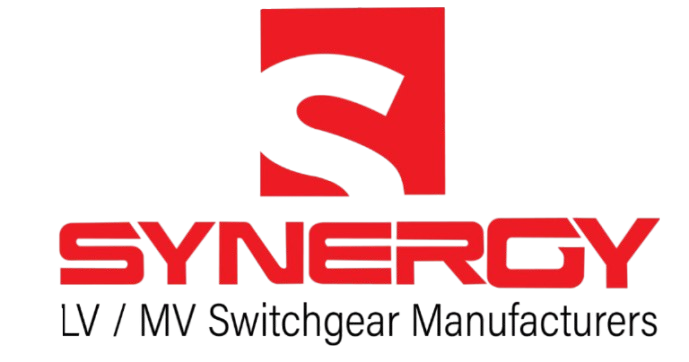 Synergy Logo